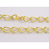 Iron Twisted Chains CH017-G-1