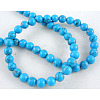 Gemstone Bead Strand GSR064-1