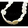 Natural Shell Beads Strands PBB-XXBK034Y-13-1