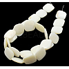 Natural Shell Beads Strands PBB-XXBK034Y-13-2