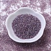 MIYUKI Delica Beads Small X-SEED-J020-DBS0173-2