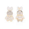 Transparent Acrylic Beads MACR-S373-81-B04-2