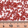 Glass Bugle Beads SEED-S032-08A-25-4