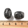 Natural Larvikite European Beads LS-G-F580-A11-01-3