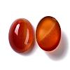 Oval Natural Carnelian Cabochons G-K020-20x15mm-05-3