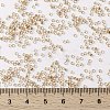 MIYUKI Round Rocailles Beads X-SEED-G009-RR1133-4
