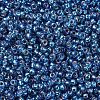 MIYUKI Round Rocailles Beads X-SEED-G007-RR1025-3