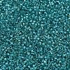 MIYUKI Delica Beads SEED-X0054-DB2380-3