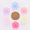 Transparent Frosted Acrylic Bead Caps MACR-S371-04A-3