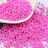 Baking Paint Glass Seed Beads X-SEED-S042-05B-88-1
