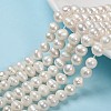 Natural Cultured Freshwater Pearl Beads Strands PEAR-N013-07C-1