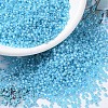 MIYUKI Round Rocailles Beads SEED-G007-RR0647-1