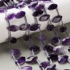 Natural Banded Amethyst Beads Strands G-P607-A09-01-1