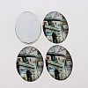 Photo Glass Oval Cabochons X-GGLA-N003-18x25-F04-2