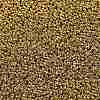 TOHO Round Seed Beads X-SEED-TR15-0557-2
