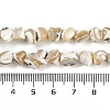 Natural Trochus Shell Beads Strands BSHE-H109-10-5