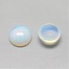 Opalite Cabochons G-R416-14mm-49-2