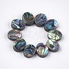 Abalone Shell/Paua Shell Beads SSHEL-T008-04-1