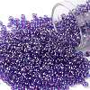 TOHO 8/0 Round Beads SEED-TR08-0252-1