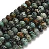 Natural African Turquoise(Jasper) Beads Strands G-Z111-A13-02-3