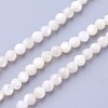 Natural Shell Beads Strands X-G-F619-27-3mm-1