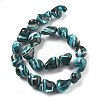 Dyed Natural Trochus Shell Beads Strands BSHE-Z006-02A-2