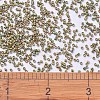 MIYUKI Delica Beads X-SEED-J020-DB0508-4