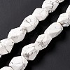 Natural Howlite Beads Strands G-L235A-14-6