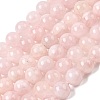 Natural Madagascar Rose Quartz Beads Strands G-B167-A04-10mm-2