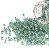 TOHO 11/0 Round Beads X-SEED-TR11-0953-1