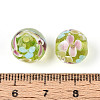 Handmade Lampwork Beads Strands LAMP-T007-04L-3