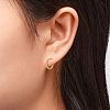 Unisex 925 Sterling Silver Hoop Earrings EJEW-AA00271-06G-5