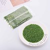 Glass Bugle Beads SEED-S032-08A-49A-2