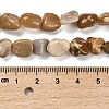 Natural Fossil Coral Beads Strands G-P497-01E-36-5