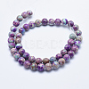 Natural Imperial Jasper Beads Strands G-I122-10mm-15-2