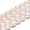 Natural Cultured Freshwater Pearl Beads Strands PEAR-N012-05K-3