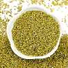 Baking Paint Silver Lined Glass Seed Beads SEED-H003-09E-3