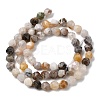 Natural Bamboo Leaf Agate Beads Strands G-Z119-A27-01-4