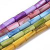 Natural Freshwater Shell Beads SHEL-R047-01-1
