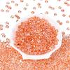 Transparent Colours Glass Seed Beads SEED-Q042-01A-A04-2