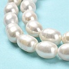 Natural Cultured Freshwater Pearl Beads Strands PEAR-E016-085-4