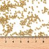 Cylinder Seed Beads X-SEED-H001-C05-3
