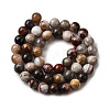 Natural Mexico Crazy Agate Beads Strands G-L615-A01-01-7