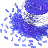 Transparent Glass Bugle Beads SEED-N005-001-C03-1