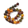 Natural Multi-Color Agate Beads Strands G-A261-B05-14mm-3