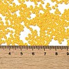 Baking Paint Glass Seed Beads SEED-P006-03A-04-4
