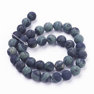 Natural Kambaba Jasper Beads Strands G-F520-53-10mm-1