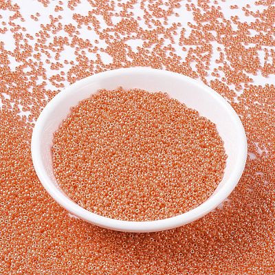 MIYUKI Round Rocailles Beads SEED-G007-RR0424-1