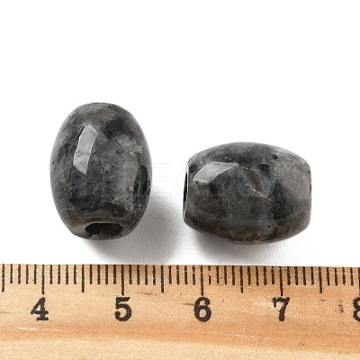 Natural Larvikite European Beads LS-G-F580-A11-01-1
