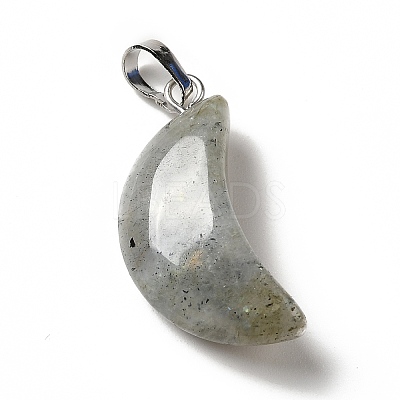 Natural Labradorite Pendants G-Z022-05C-1